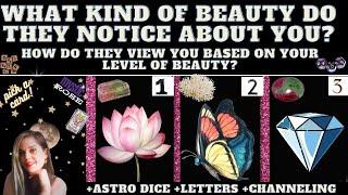 WHAT KIND OF BEAUTY DO THEY NOTICE ABOUT YOU?  TAROT PICK A CARD READING (+channeling)