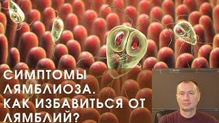 СИМПТОМЫ ЛЯМБЛИОЗА ВЗРОСЛЫХ. КАК ИЗБАВИТЬСЯ ОТ ЛЯМБЛИЙ?