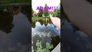 Feeding my pet duck Adam 