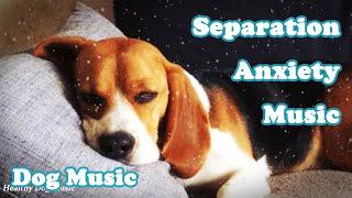 Music for Dogs: Gentle Songs to Promote Sleep, Cure Depression!