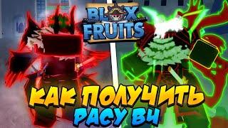 [БФЧИК] КАК ПОЛУЧИТЬ ЛЮБУЮ РАСУ В4 (ПО ЭТАПАМ) в БЛОКС ФРУТС  Roblox Blox Fruits