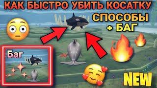 КАК БЫСТРО УБИТЬ КОСАТКУ В WILDCRAFT  [СПОСОБЫ + БАГ] 