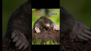 2023 mole and 5000 bce mole || mythical biology||#viral #mythology #shorts