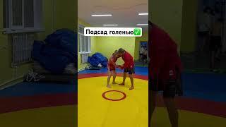 Если видео залетит , сделаю подробный разбор броска  #спорт #борьба #тренировка #обучение