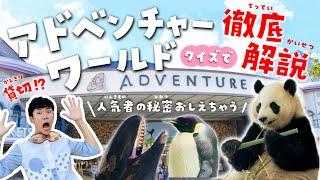 休園日に潜入！アドベンチャーワールドが100倍楽しめる動物園&水族館ツアー！パンダ・サファリ・イルカショーの秘密を徹底解説