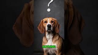 10 Terrifying Disappearances You’ve Never Heard Of  #facts  #didyouknow  #funfacts