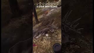 5 STAR WHITETAIL! #gaming #wayofthehunter #hunting #bigbuck #cotw #cotwclips #deer  #gameplay