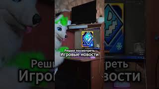 Что вообще происходит? #курган #kurgan #grinya #гриня #фурри #fox #furries #антифурри #antifurry