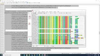 Finding Best Substitution Model for Phylogenetic Analysis - MEGA tutorial