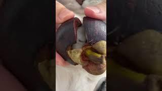 Watch till the end?!!  #trendytrends #trends #littlekitty #cat #smallpotato