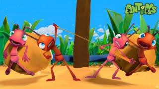 Sticky Buddies | Antiks  | Funny Cartoons for Kids