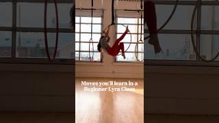 Beginner Lyra