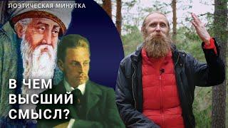 Зачем мы нужны Высшему Сознанию? | Поэтическая минутка: Руми, Рильке, Саркар.