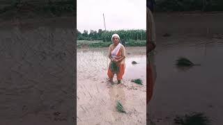 #shorts_feed #video #nisha#yadav