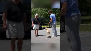 Offensive Talking Dog Prank!