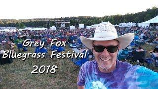 The 2018 Grey Fox Bluegrass Festival - Year of the Dawg