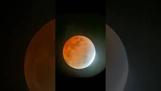 Stunning Lunar Eclipse Captured with Thrift Store Telescope #bloodmoon2021