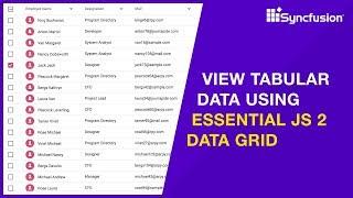 View Tabular Data Using Essential JS 2 Data Grid