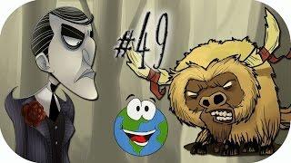 Don't Starve Together за Максвелла (СОЛО) #49 - Начинаем приручать Злобного Бифало