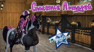 Покупка Пинтабиана 2 поколения |Star Stable Online|