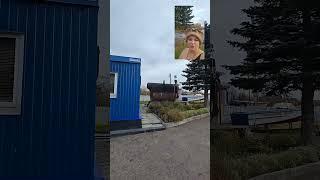 #моржи #минск