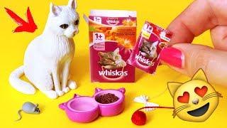 Miniature Cat Accessories  DIY Pets for dolls  AnnaOriona