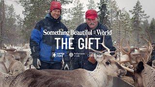 The Gift | Sámi Reindeer Herding | Full Film