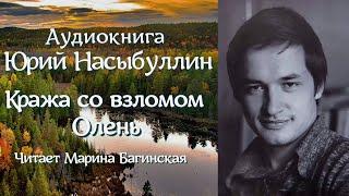 Аудиокнига Юрий Насыбуллин "Кража со взломом", "Олень" уточнённая редакция Читает М.Багинская.