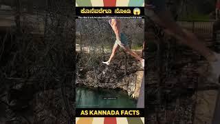 Flying With Umbrella Fact Video | #kannada #facts #karnataka #amazing #youtubeshorts #trendingshorts