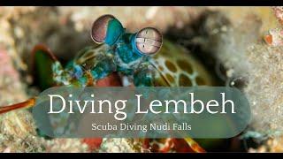 Dive into Diversity: Exploring the Wonders of Nudi Falls #lembeh #indonesia