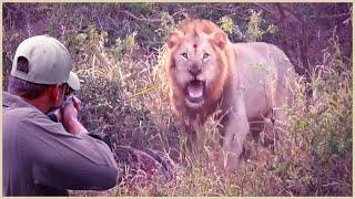 Amazing: How Do American Hunters And Farmers Deal With Million Of Wild Boar And Lion By Guns