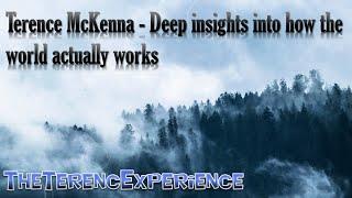 Terence McKenna - Deep insights into how the world actually works