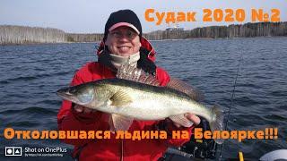 Весенний судак 2020 №2