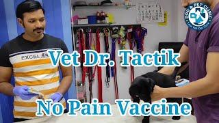 #Shorts | No Pain Vaccine to Puppies