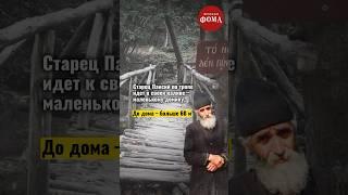  Мандарины старца Паисия  Чудесная зимняя история с Афона #фомавидеоистории