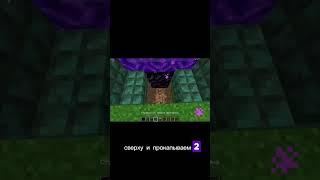 КРАСИВЫЙ ПОРТАЛ В АД В МАЙНКРАФТЕ #майнкрафт #minecraft #shorts #short #games #gameshorts #игры