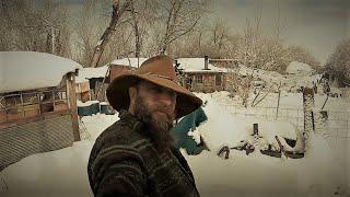 SNOW, BIG WINDS, ICE, PUPPIES, HILLBILLY, IDAHO MOUNTAIN CRICK BOTTOM HOMESTEAD