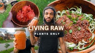 My Raw Foods-Only Day: What I Eat