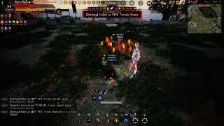 Mystic Awk vs Nova succ BDO Console