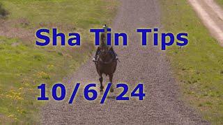 Hong Kong Horse Racing Tips 10/6/2024 - Sha Tin