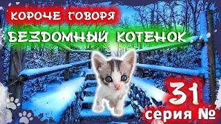 КОРОЧЕ ГОВОРЯ, Я БЕЗДОМНЫЙ КОТЕНОК 31 [От первого лица] История одной жизни