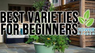 Hard To Kill Plants | What Plants Are Best For Beginners?