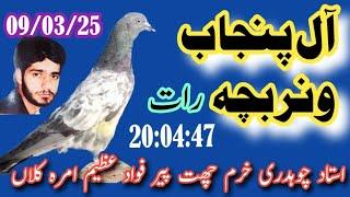 All punjab winners baby Pigeon ustad ch khuram chat peer fawad azim amra kalan