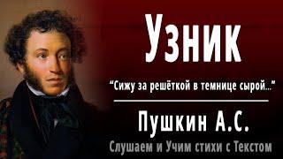 А.С. Пушкин "Узник" - Слушать и Учить аудио стихи