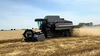 2024 Wheat harvest at Stroda Farms using a Gleaner R62