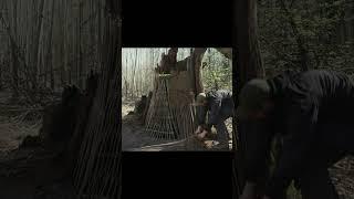 Building a Warm and Cozy Secret Shelter Deep Inside a large Tree. Full building. #polissyabushcraft