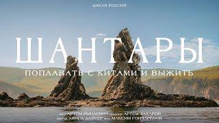 УВИДЕТЬ КИТОВ В РОССИИ: ДОРОГО, СТРАШНО и НЕЗАБЫВАЕМО! Рындевич на Шантарских островах