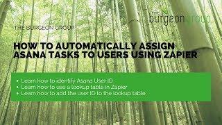 How to add Asana User ID to Zapier and automatically assign Asana user
