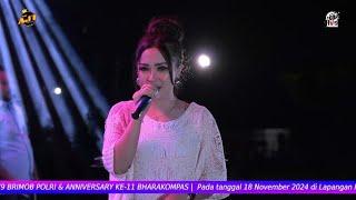 ELSA AMALIA || TUNGKEK MAMBAOK RABAH || New AJT || NADA music || MEGAH light || AVS Lamongan