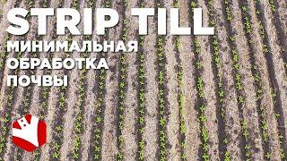 Технология strip-till | Минимальная обработка почвы | Технологии растениеводства